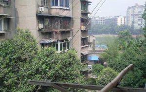 金罗路12号2室1厅东南