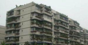 蜀汉路31号 3室2厅 东北