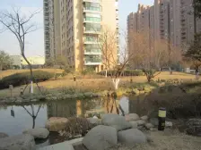 毓秀 长租车位 电梯 大三房 南北通 近地铁宝龙