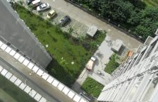 清江之春2室2厅西南