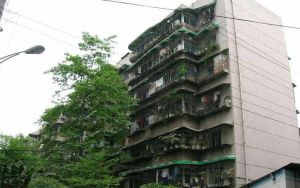 成华街9号2室2厅东南