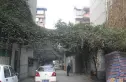 营康西路118号院实景图