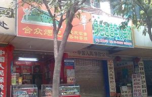 桃溪庭苑 2室2厅 东南