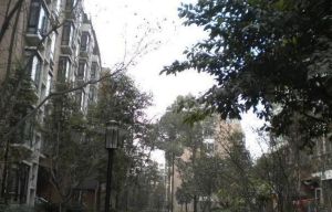 桃溪庭苑 2室2厅 西南