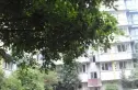 金亿蓝苑春实景图