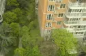 金亿蓝苑春实景图