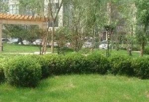 大学路10号2室1厅南