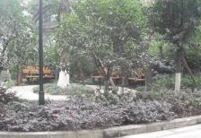 上东锦城A区3室2厅东南