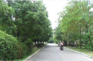 前进路长运宿舍 南北通透,采光好 装修好,环镜优美 近地铁 视野好,诚心出售