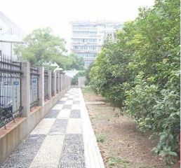 户型方正,标准2房,全天采光,百看百中、得房率高