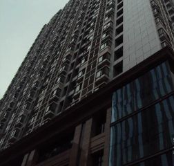 仁和金沙2室1厅东南