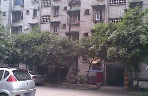 蜀明东路4号2室1厅东南