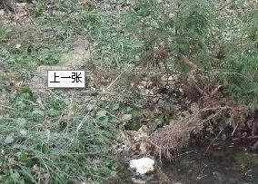 生物制品研究所家属院2室1厅西南