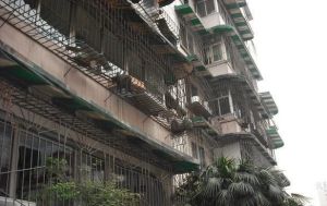 阳光花园(武侯)3室2厅南