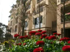 西区 中航翡翠城高层三房