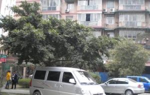 金华苑 2室1厅 南 北