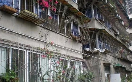 金陵公寓小区实景图