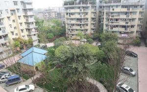 东圣民居4室2厅东北