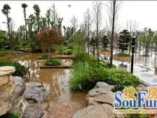 新宇小区 4室2厅 东南