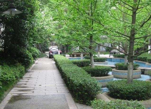 小区相关图