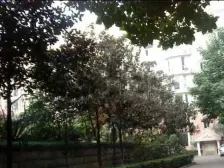 翡翠家园三室两厅带两室一厅阁楼。买一套房得两套..