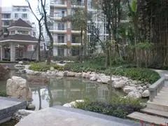 金阳水景3室2厅东南