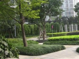 顺发苑3室2厅南北