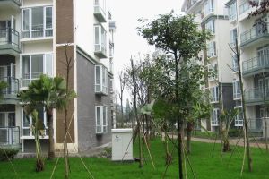 高桥小区 3室1厅 南