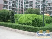 南开后门带私家屋顶花园,正规大四房 出行方便 好出租