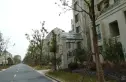 莱英北郡实景图