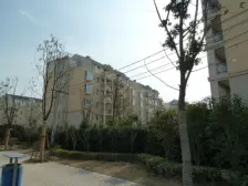 1楼带个院子 离江桥近 税少 走过路过不要错过