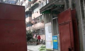 东安北左街41号1室1厅南北