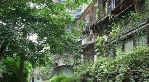 抚琴北一巷3号2室1厅东南