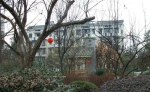 紫坪丽景3室2厅东南