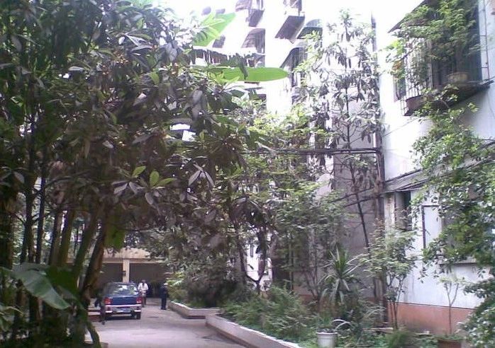小区相关图