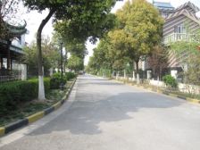 阳光世纪花园梧桐苑独栋别墅 院子600平 高档装修