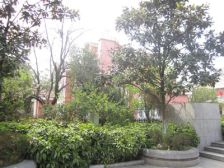 阳光紫荆苑独栋别墅 213平 精装 大花园