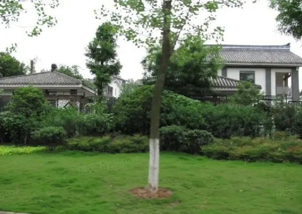 宝安中国院子实景图