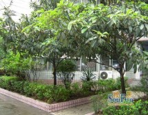 建国巷2号 2室1厅 南