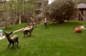 玉泉苑实景图