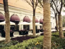 南翔·华润**公园(一期北区)·3室·2厅