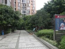 棕南俊园3室2厅东南