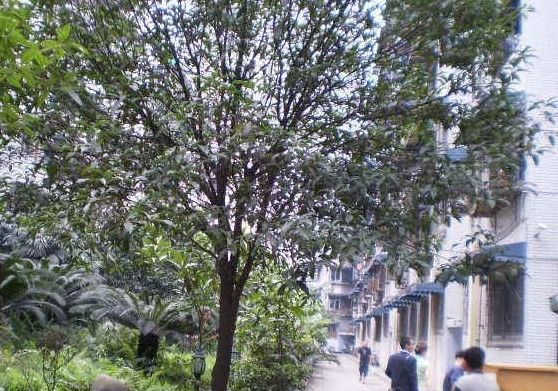 文华路4号院实景图