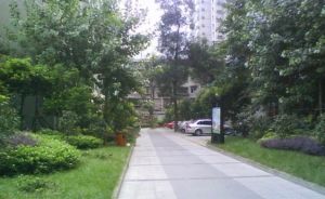 簇桥中街124号2室1厅西南