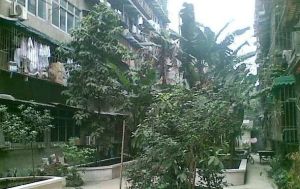 方池街36号 2室2厅 南 北