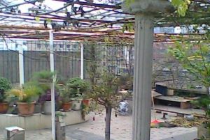 兴禅寺街12号4室2厅东南