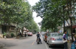 吉祥街1室1厅东南