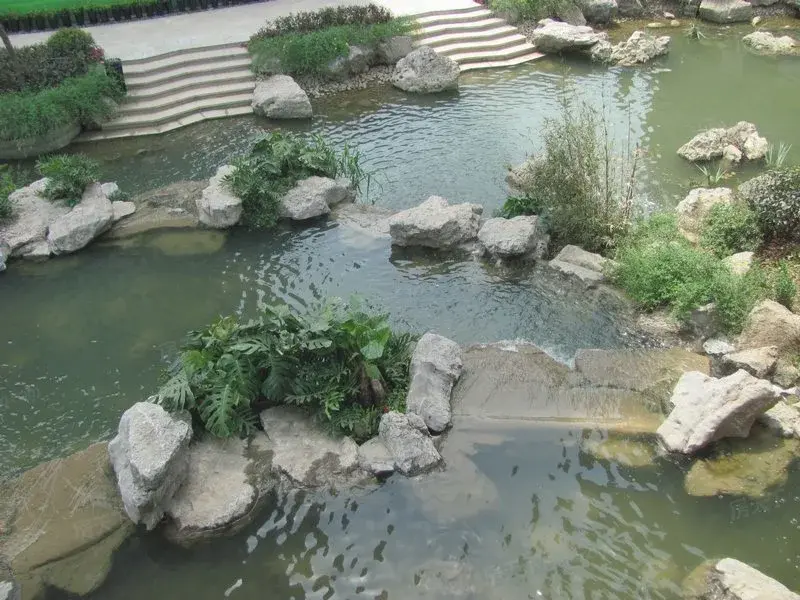 实景图