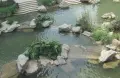 房源图片