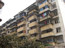 皇家花园 2室1厅 南